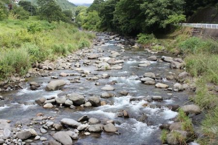 狩野川(狩野川漁業協同組合) 釣果