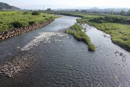 狩野川(狩野川漁業協同組合) 釣果