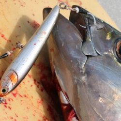 へいみつ丸 釣果