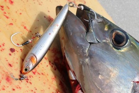 へいみつ丸 釣果