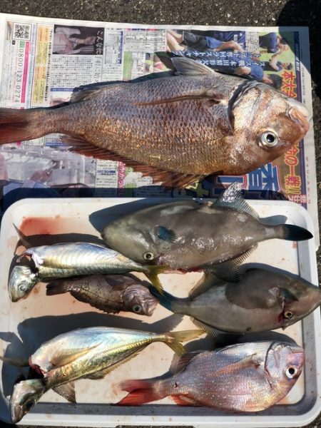 第二辰丸 釣果
