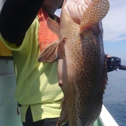 遊漁船 新鋭丸 釣果