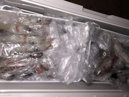 幸風（さちかぜ） 釣果