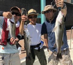 ＴＨＥＳＥＡＭＡＮ（ザシーマン） 釣果