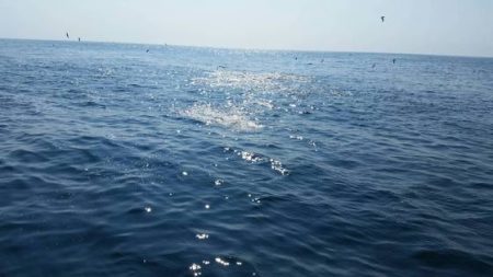 第五慶門丸 釣果