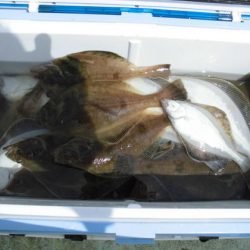 大進丸（新潟） 釣果