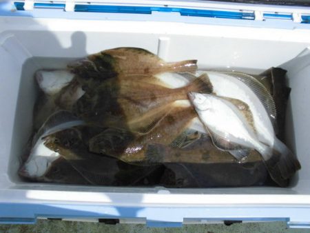 大進丸（新潟） 釣果