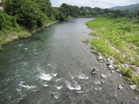狩野川(狩野川漁業協同組合) 釣果