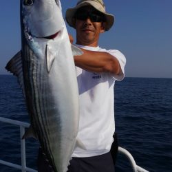 遊漁船 新鋭丸 釣果