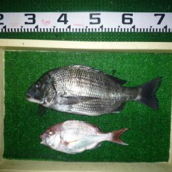 海山フィッシングセンター 釣果