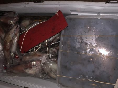 幸風（さちかぜ） 釣果