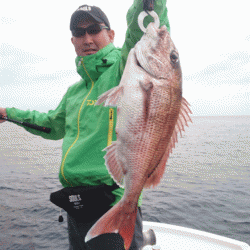 遊漁船ブルーウッズ 釣果