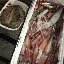 寿裕 （YOSHIHIRO） 釣果