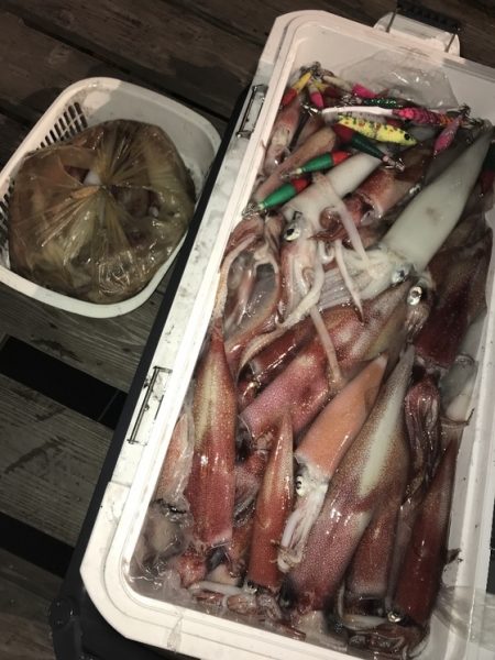 寿裕 （YOSHIHIRO） 釣果