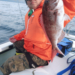 遊漁船ブルーウッズ 釣果