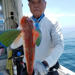 遊漁船　ニライカナイ 釣果