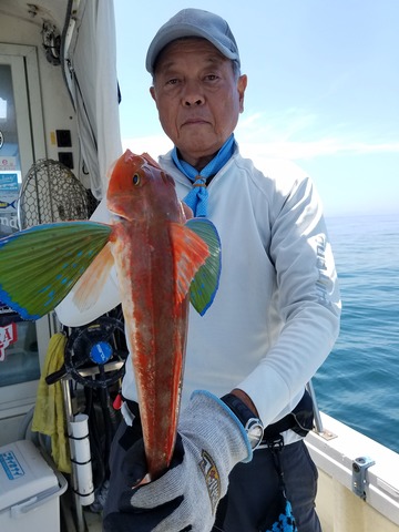 遊漁船　ニライカナイ 釣果