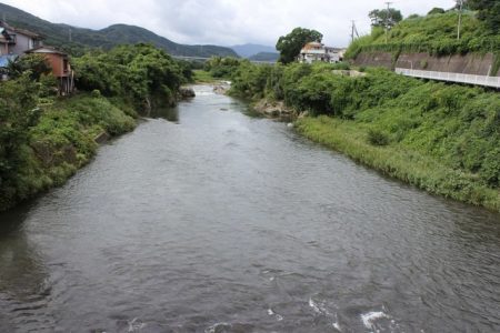 狩野川(狩野川漁業協同組合) 釣果