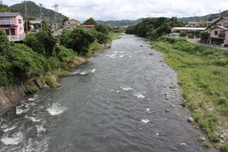 狩野川(狩野川漁業協同組合) 釣果