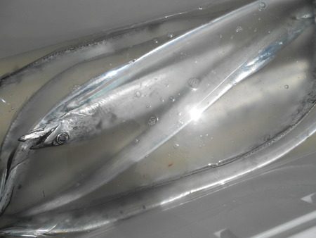 こうゆう丸 釣果