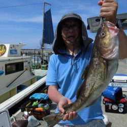 大進丸(新潟) 釣果