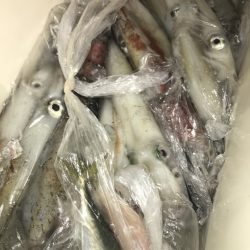 寿裕 （YOSHIHIRO） 釣果