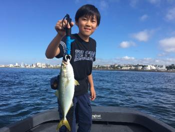 シーマジカル 釣果