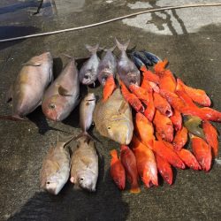 フィッシングハウス伊藤 釣果