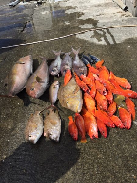 フィッシングハウス伊藤 釣果