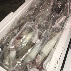 寿裕 （YOSHIHIRO） 釣果