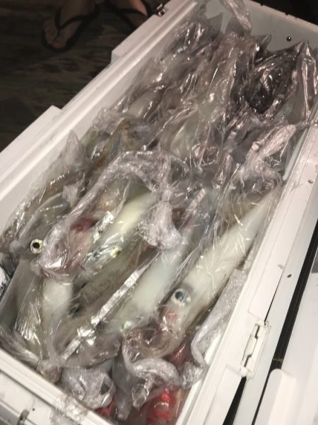 寿裕 （YOSHIHIRO） 釣果