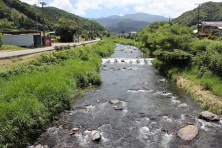 狩野川(狩野川漁業協同組合) 釣果