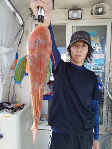 遊漁船　ニライカナイ 釣果