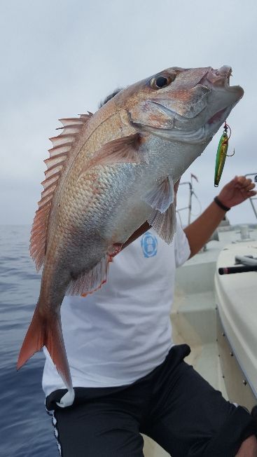 海峰 釣果