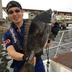 シーマジカル 釣果