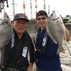 シーマジカル 釣果