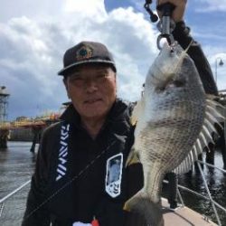 シーマジカル 釣果