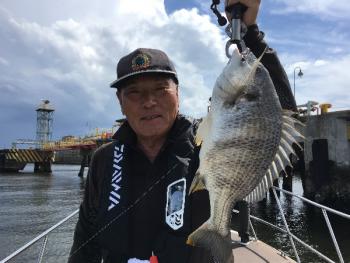 シーマジカル 釣果