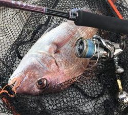 白墨丸 釣果
