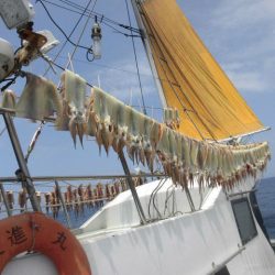 大進丸（愛知） 釣果