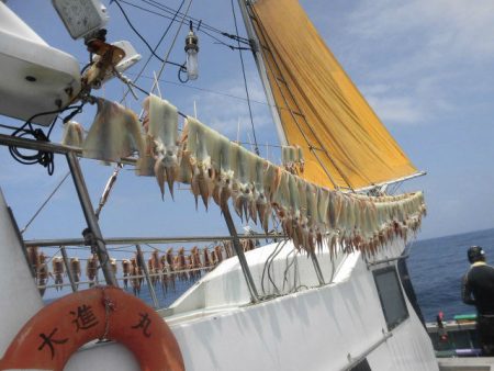 大進丸（愛知） 釣果