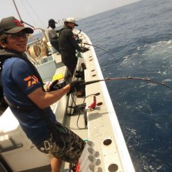 大進丸（愛知） 釣果