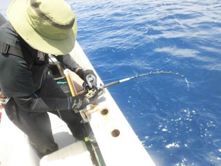 大進丸（愛知） 釣果