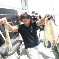 大進丸（愛知） 釣果