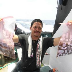 大進丸（愛知） 釣果