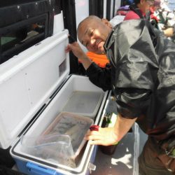 大進丸（愛知） 釣果