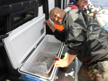 大進丸（愛知） 釣果