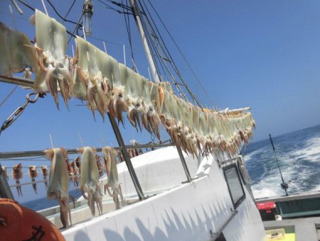 大進丸（愛知） 釣果