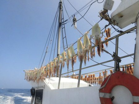 大進丸（愛知） 釣果
