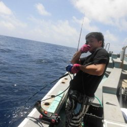 大進丸(愛知) 釣果